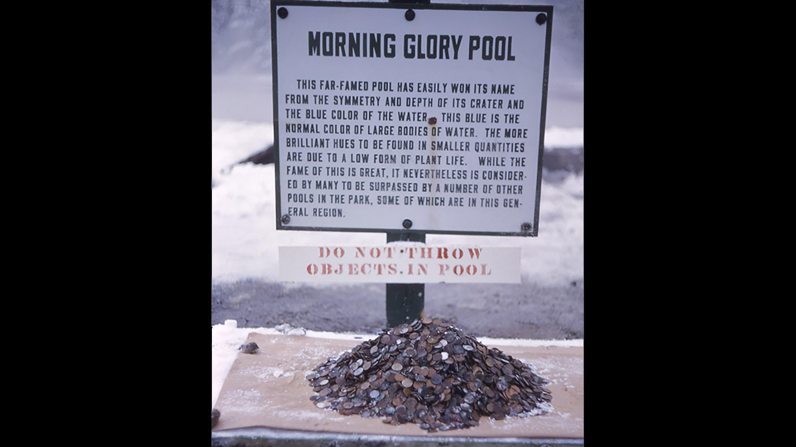 A pile of old coins pulled out of Morning Glory Pool in 1950.