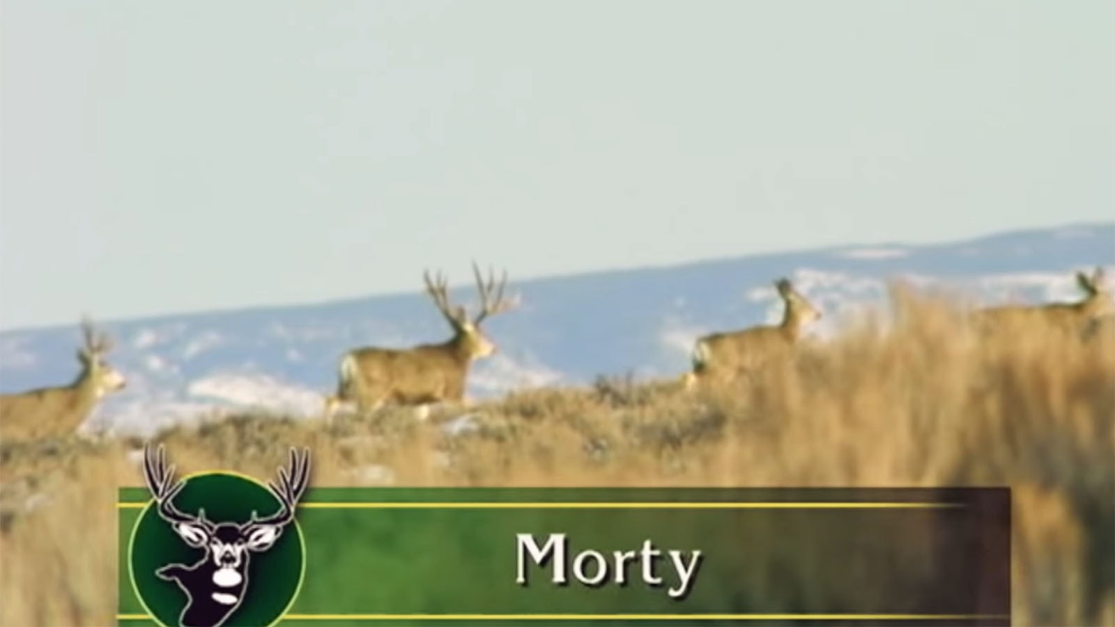 Morty was the buck was the first of the famous big three.