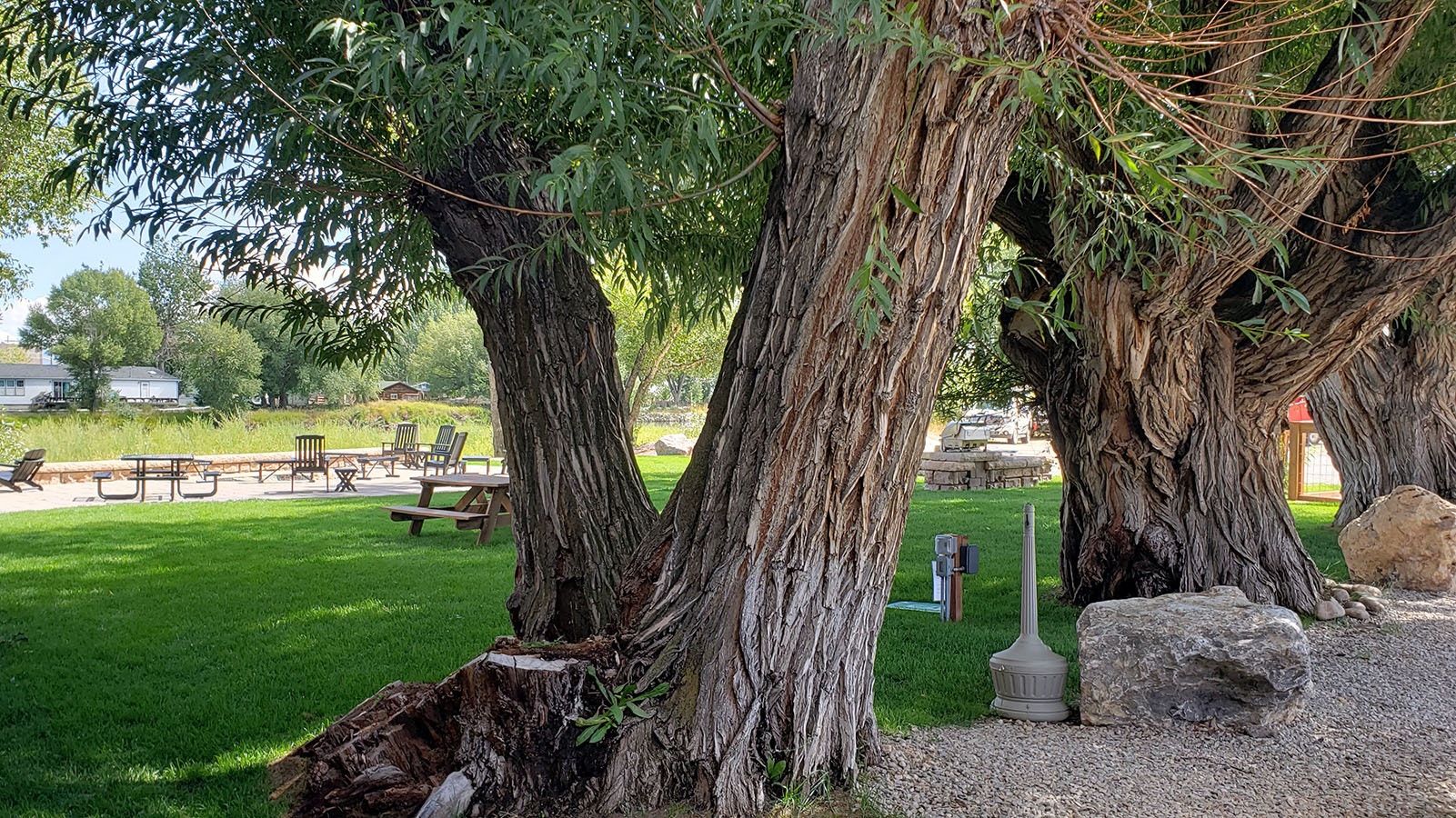 Willow trees that are more than a century old frame a riverside gathering space at the Riviera Motor Lodge.