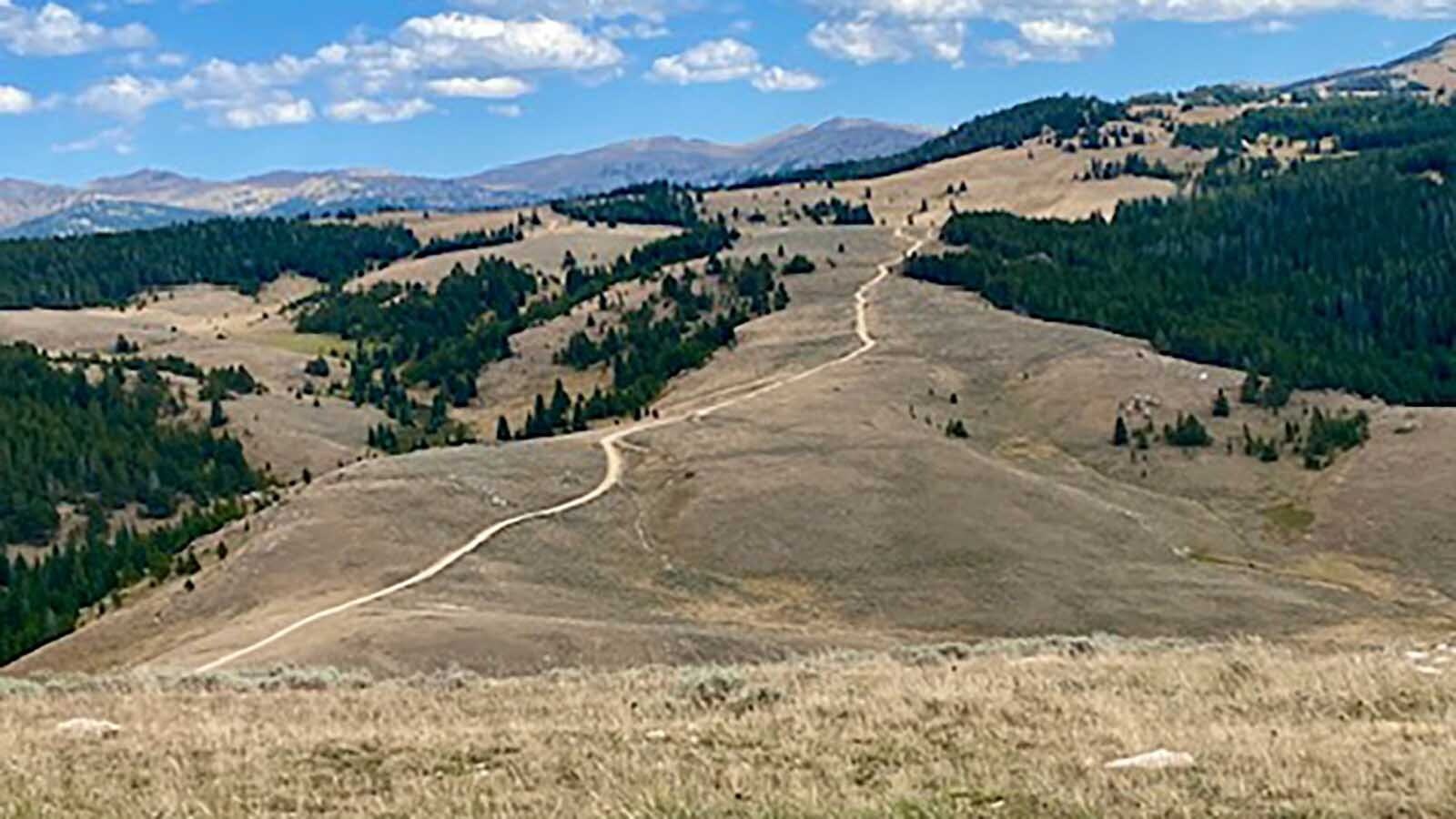 The trail over the Bighorn Mountains.