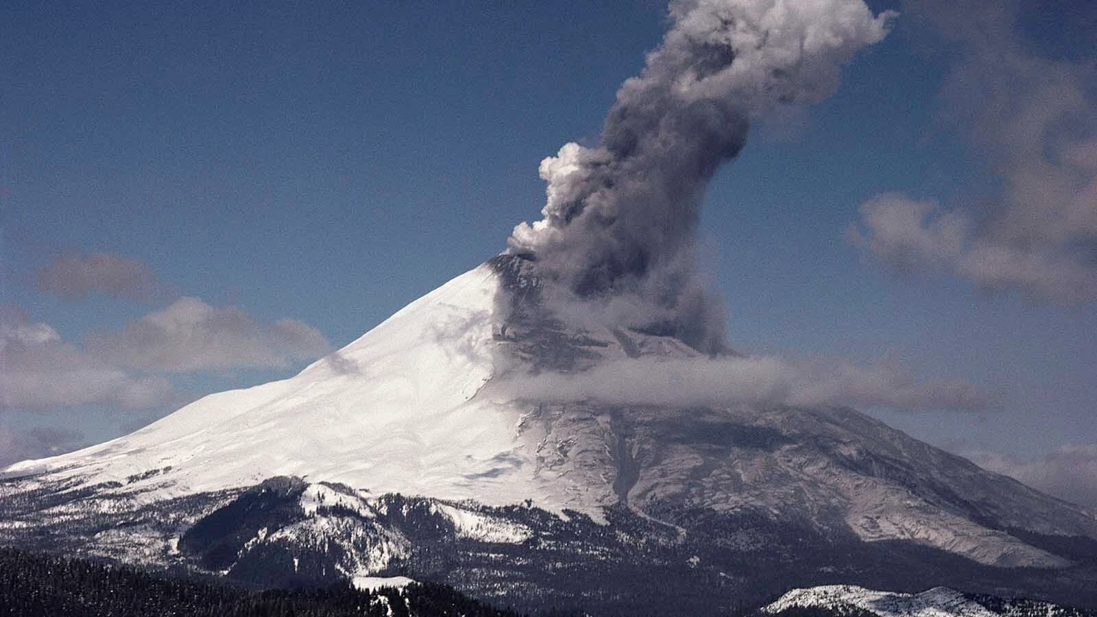 When the Mount St. Helens volcano blew its top on May 18, 1980, a former Powell resident was a young forester at the site. She ran for her life that day, and also met the man she would marry.