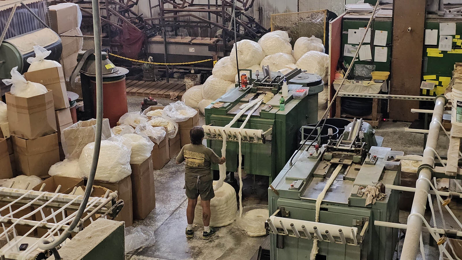 Roving is fed into a machine that will help comb and straighten fibers prior to twisting into skeins of wool yarn.