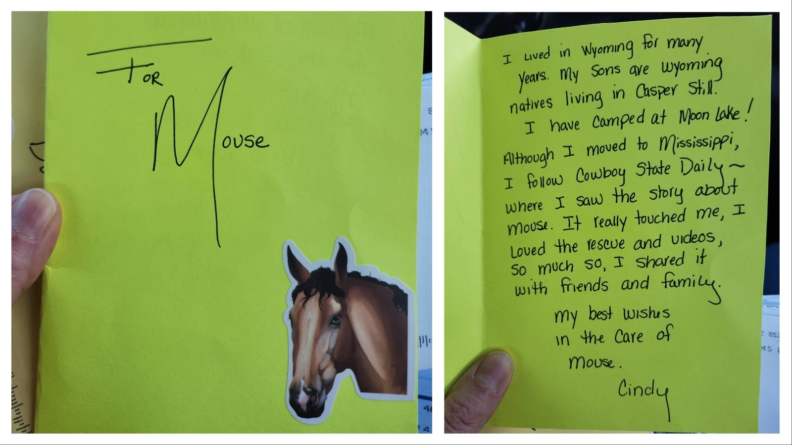 A horse named Mouse that made international headlines after he was rescued after seven months in the Wind River Mountains has made a complete recovery.  “He's pretty much made it from walking death back to full condition,” the horse’s owner told Cowboy State Daily.