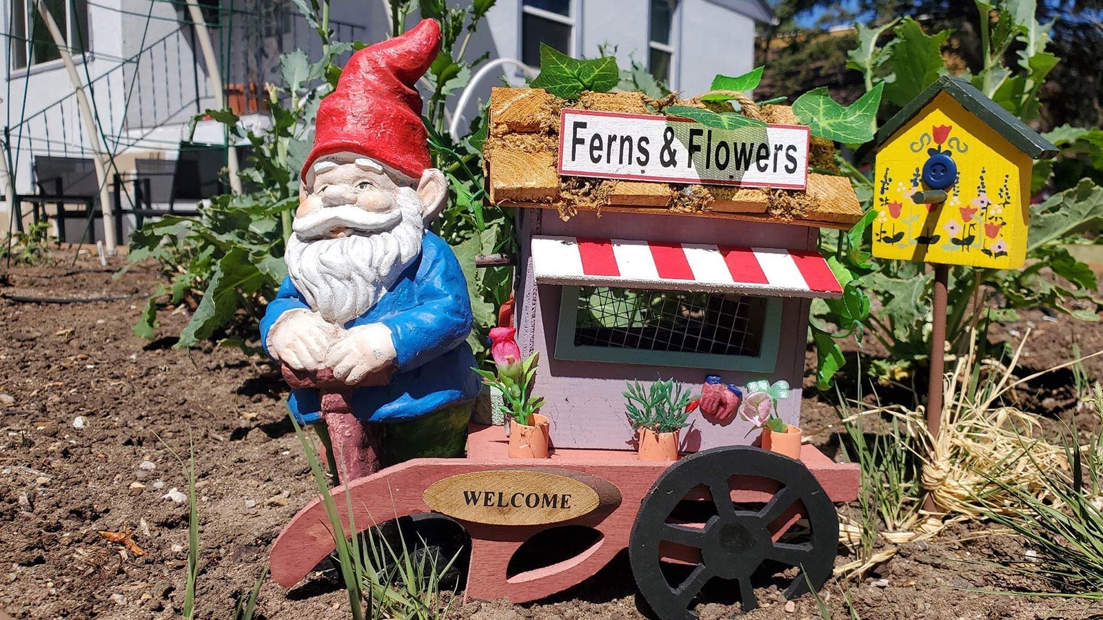 Mr. Gnome was a colorful fixture in his Laramie garden, as seen in this 2022 photo.