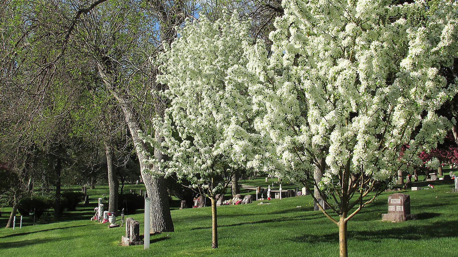 Superintendent Darin Edmonds calls Mount Pisgah Cemetery the crown jewel of Gillette and is pleased that the Rockpile Museum has partnered with it to tell the stories of the veterans buried on the grounds.