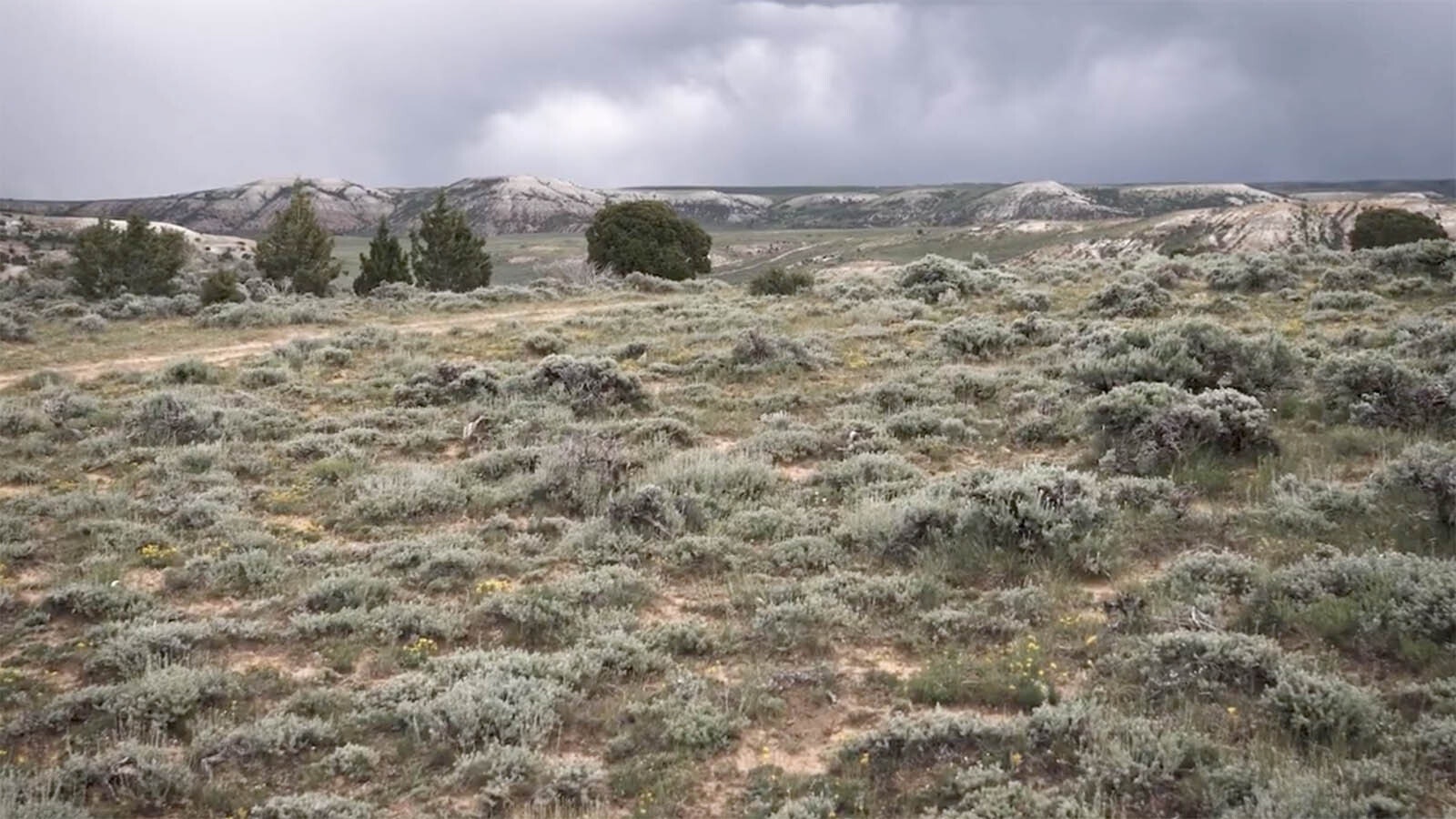 Muddy Ranch area of Fremont County 4 18 24