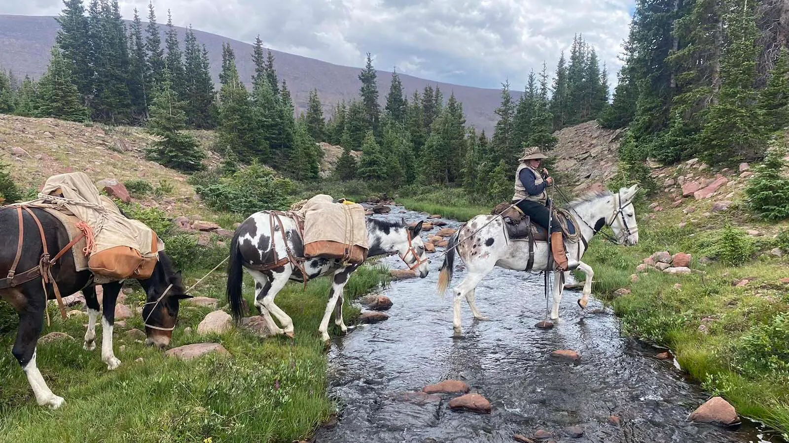 Alesha Melton is a fifth-generation muleskinner and still has the mules her grandpa raised when she was a teenager. She has taken over the family outfitting business and when not in the backcountry, chances are she is on a movie set or in a parade with her mules.