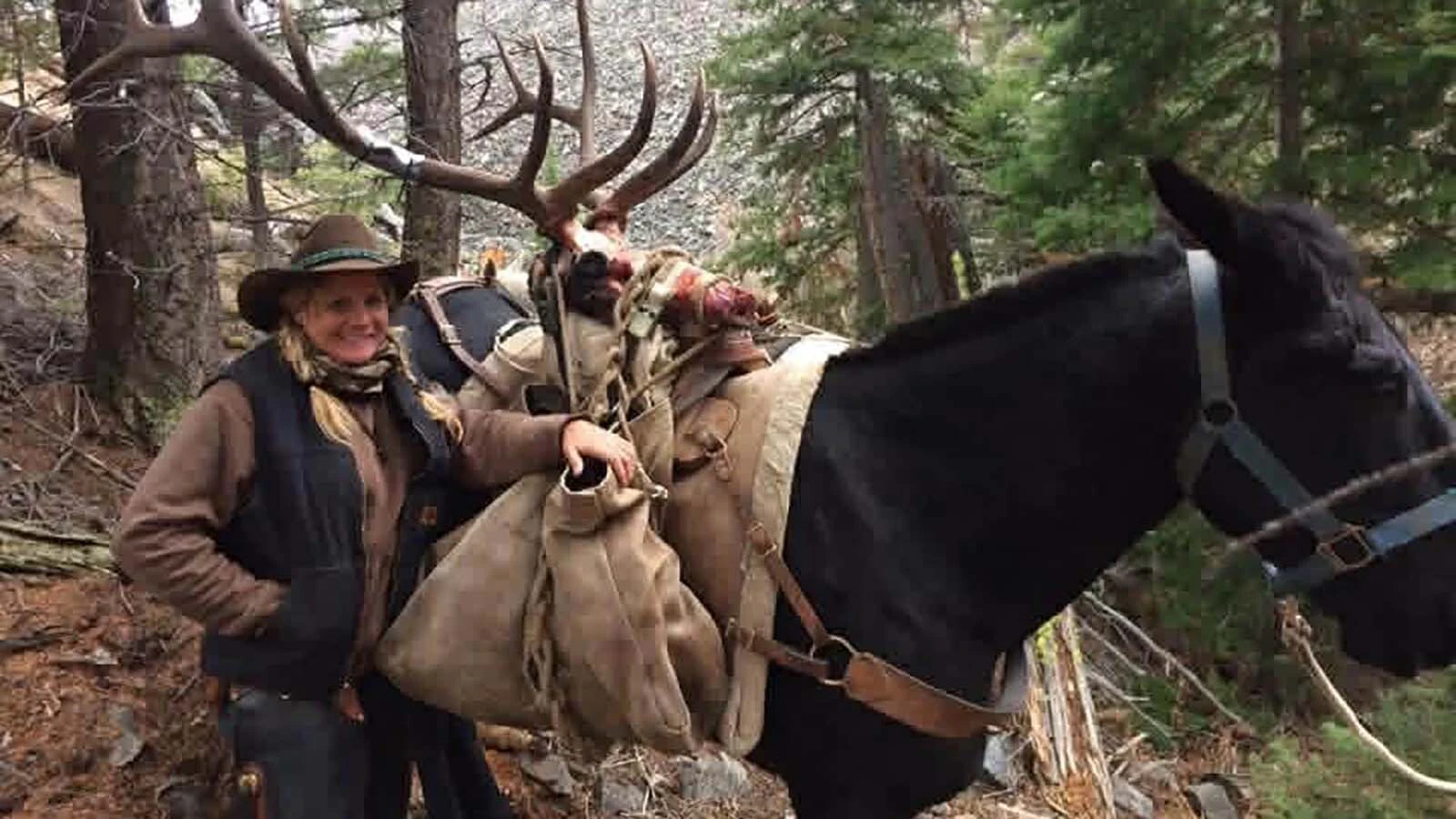 Randy and Alesha Melton run an outfitting business, specializing in mules as their pack animal of choice, in Utah, just 40 miles from the border of Wyoming. They have spent several weeks attending parades in Thermopolis and shootouts in South Pass, Wyoming, and will soon be getting ready for the fall hunting season.