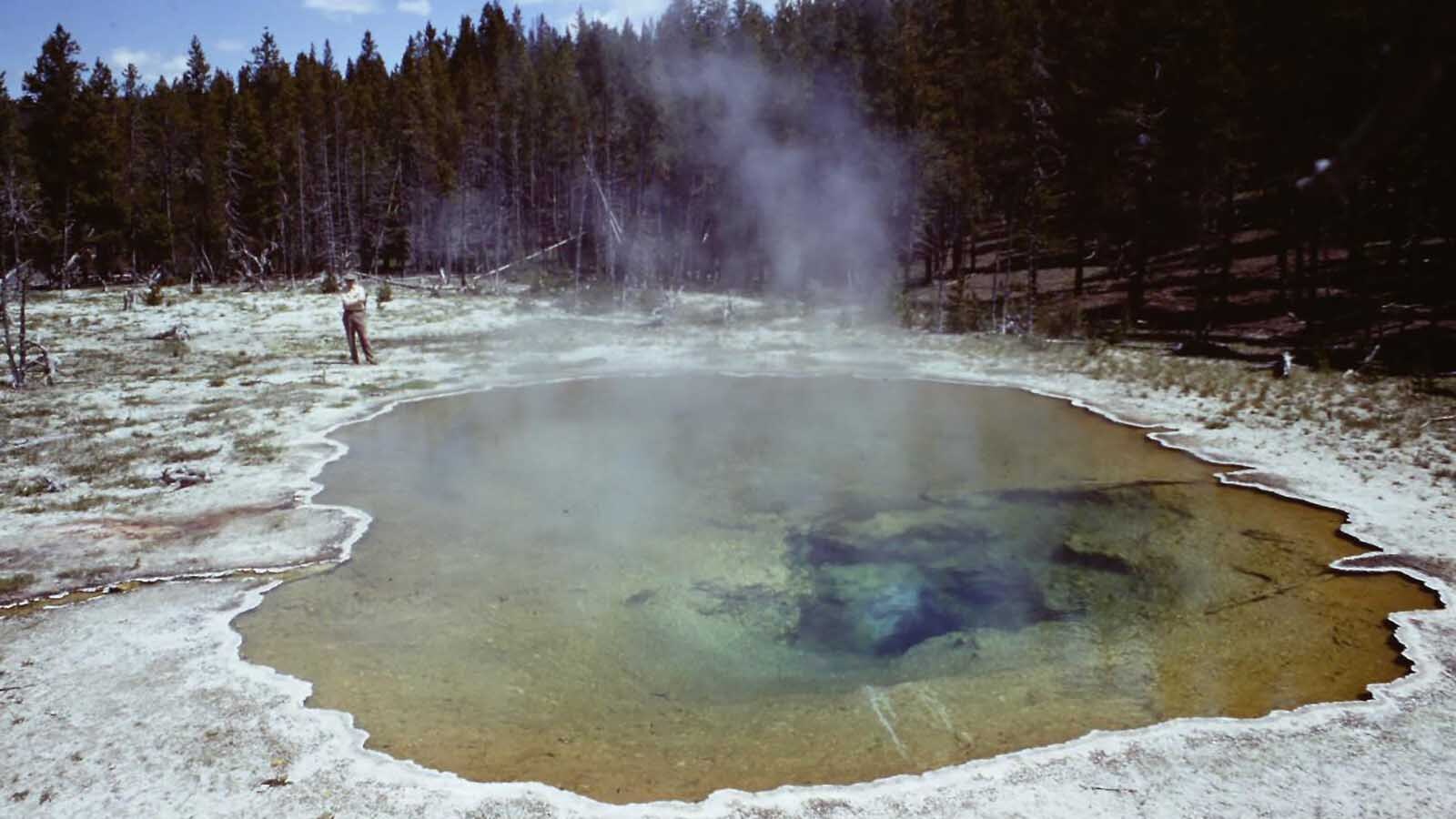 Mushroom Pool, in the Lower Geyser Basin of Yellowstone National Park, as it looked in June 23, 1967. The sample that would be the source of Thermus aquaticus strain YT-1 came from this hot spring. Pictured is Thomas Brock standing near the edge of the pool. Image from the self-published "A Scientist in Yellowstone National Park."