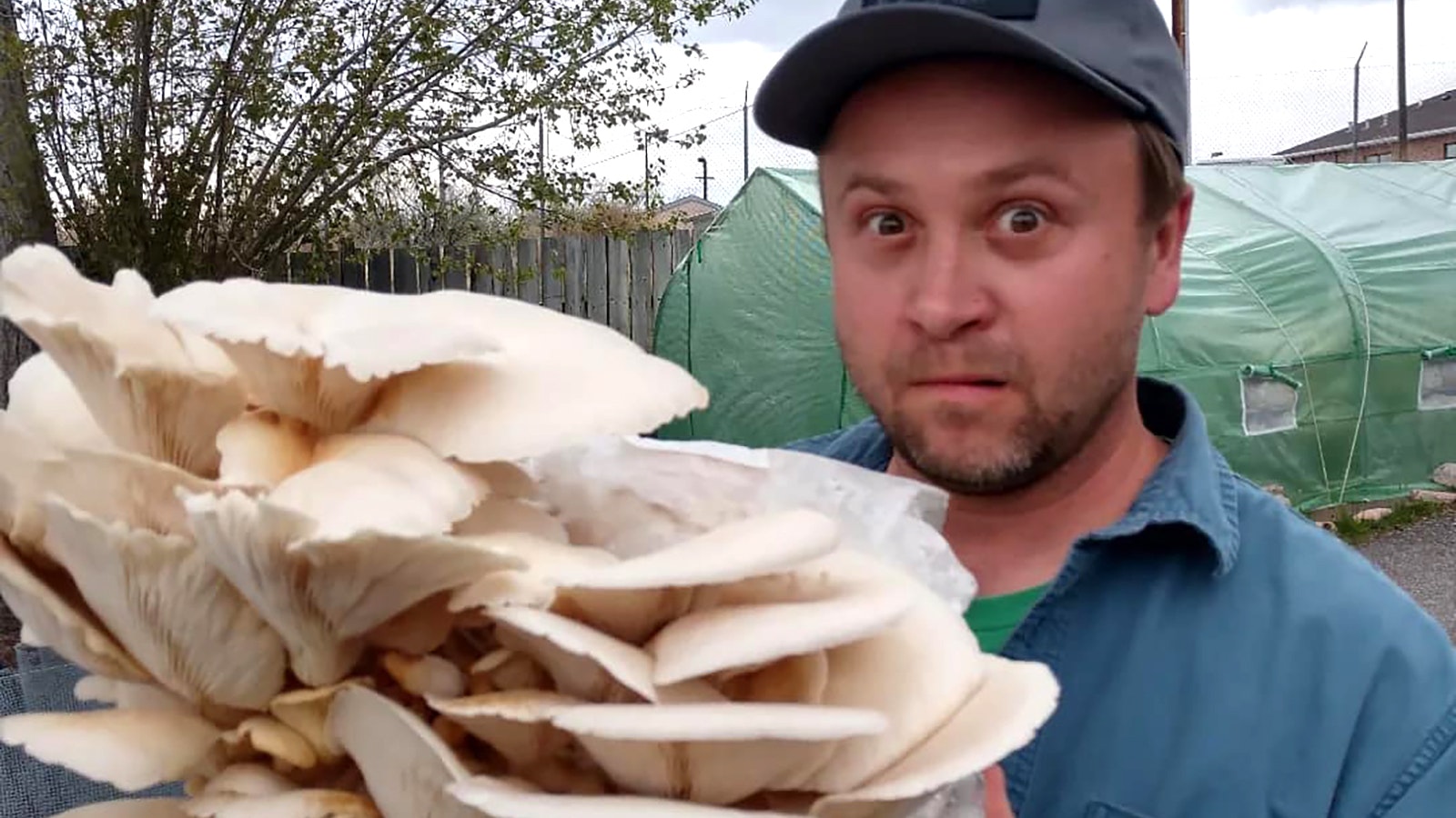 Daniel Steward, aka Riverton's "Mushroom Man."