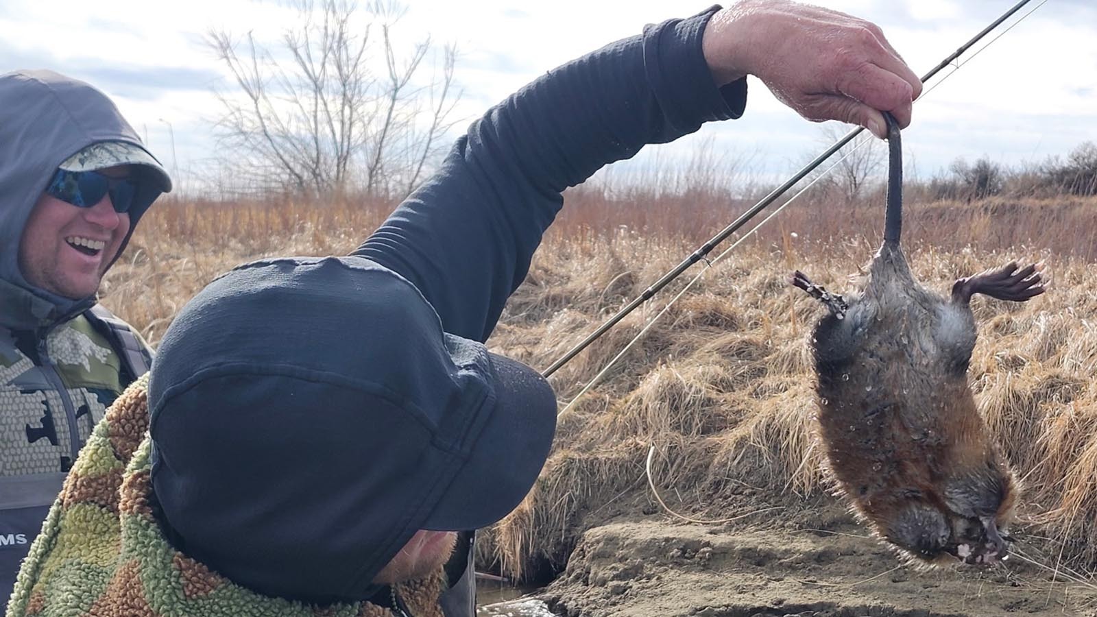 Just like a fish would, this muskrat bit a flyfishing angler’s fly on the North Platte River. Luckily for the muskrat, a fishing guide quickly removed the hook and set the critter free.