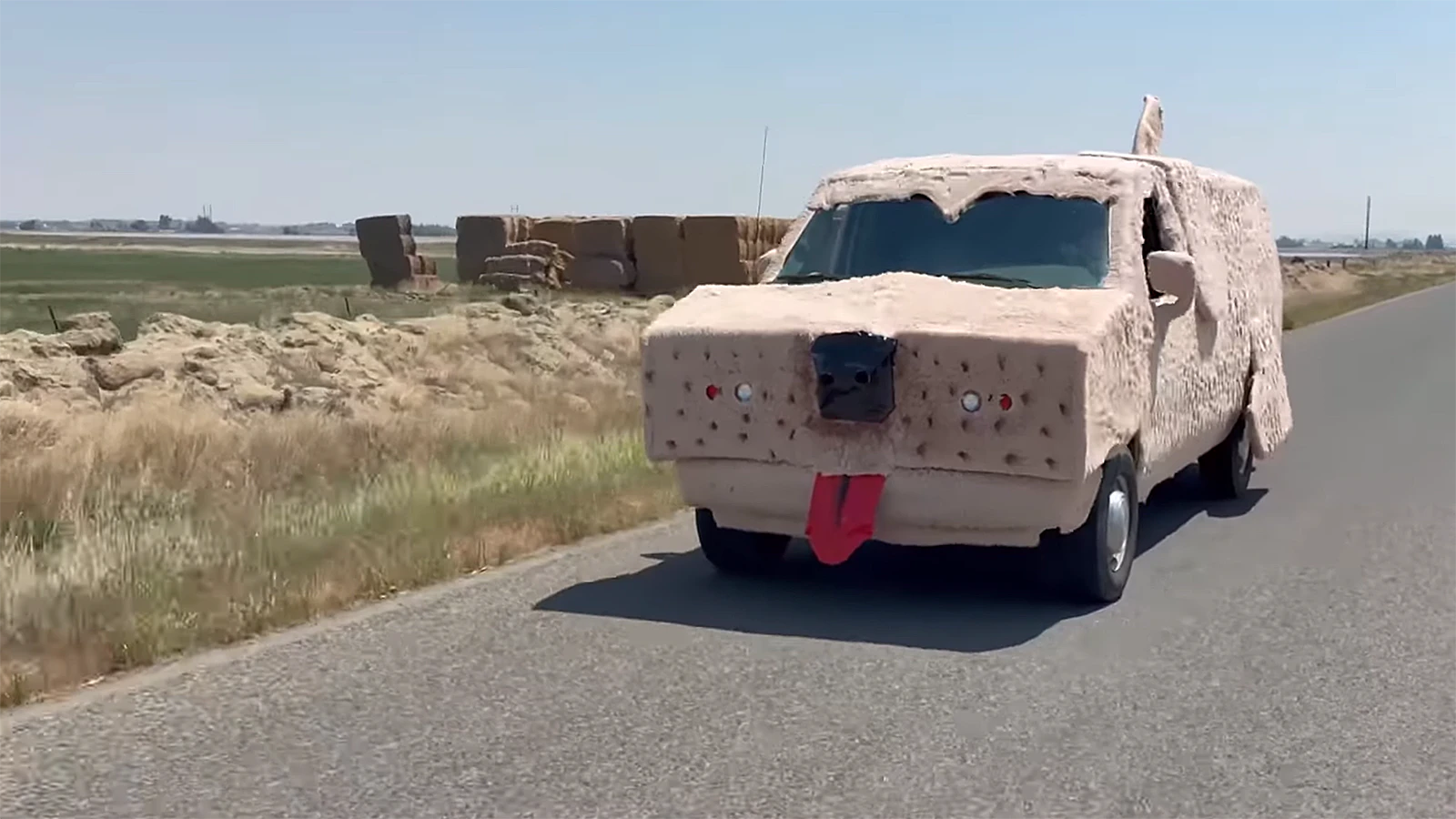 A Powell man who built a "Dumb And Dumber" Mutt Cutts van replica with his best friend says it turns heads everywhere they drive it in the Bighorn Basin. "I basically had to shampoo the whole thing," he said about cleaning it up. "It was a nightmare."