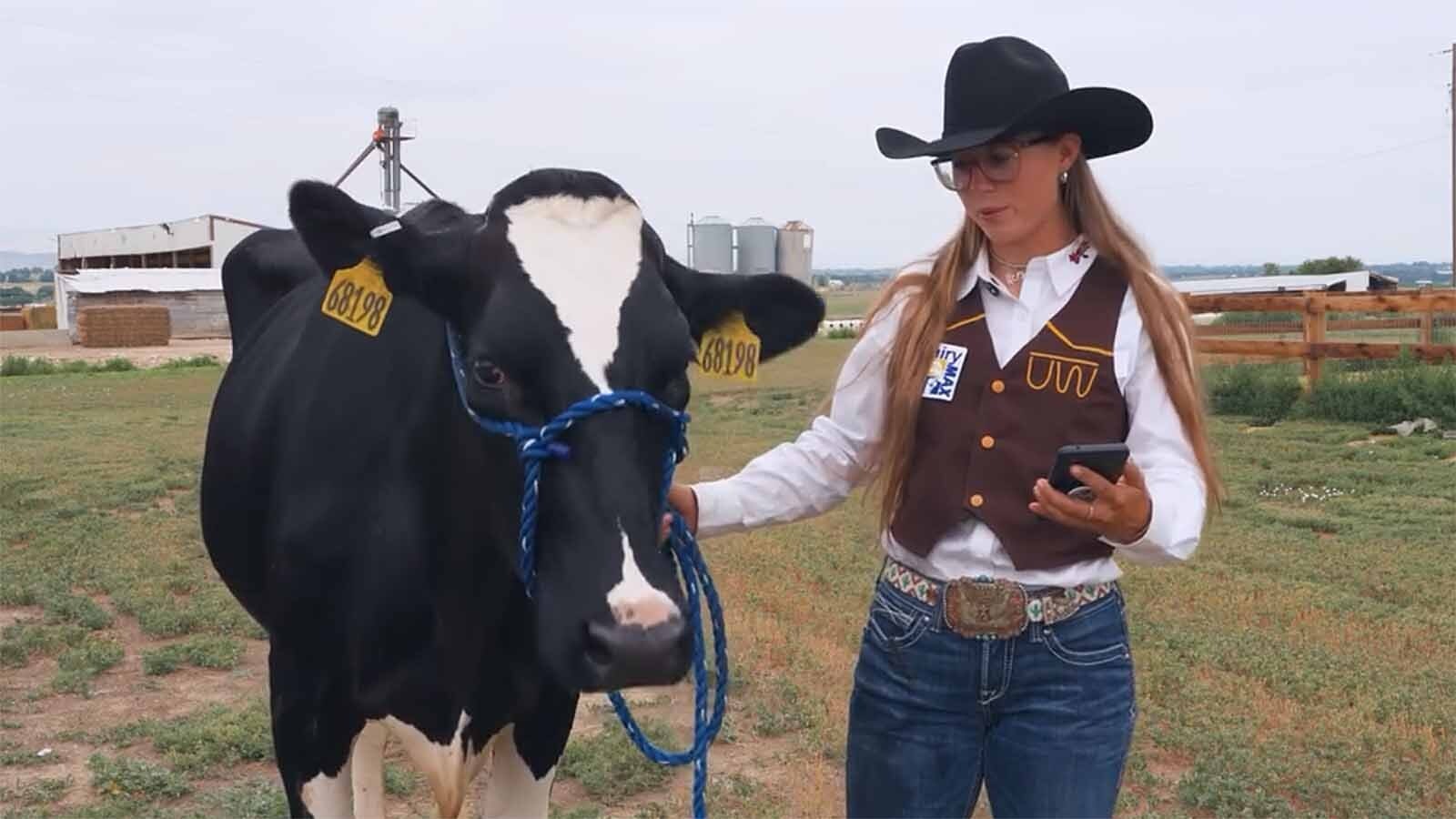 A University of Wyoming NIL partnership features a live cow and student-athletes in Dairy MAX ads in a crossover promotion that bridges the state's agricultural industry and sports marketing.