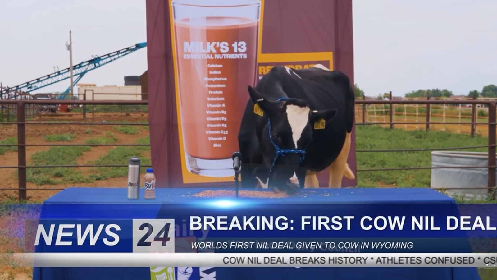 The University of Wyoming and Dairy MAX have entered into a first-of-its-kind NIL deal with student athletes.