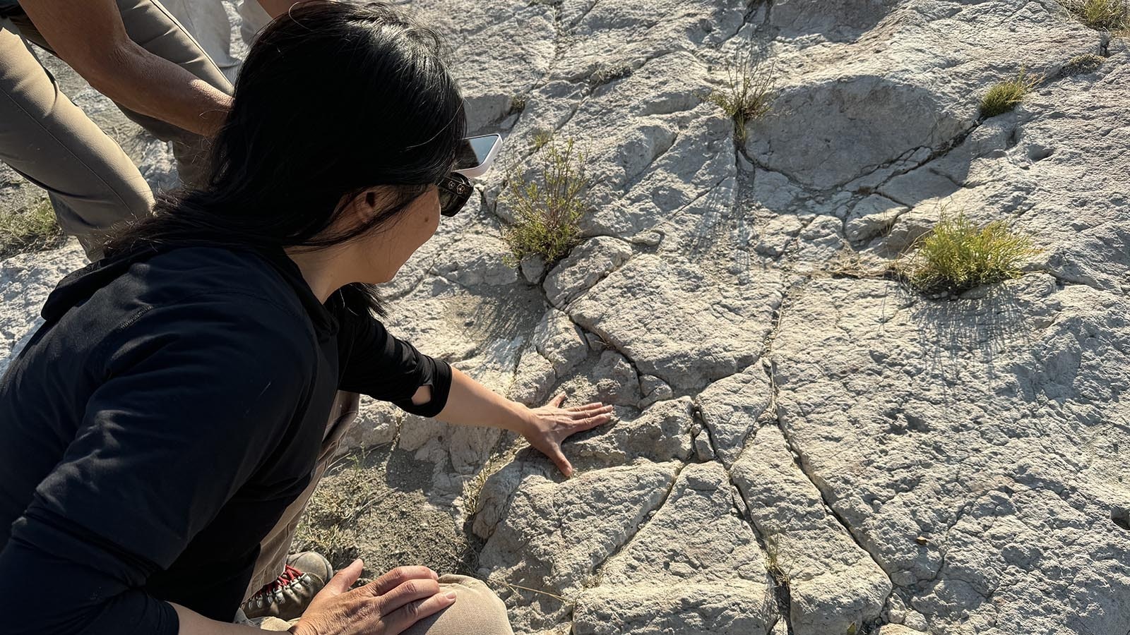 Nail Quarry visitors examine a three-toed theropod footprint preserved on Como Bluff near Medicine Bow. First quarried for its dinosaur diversity in the 1870s, Como Bluff remains one of the richest and most famous dinosaur sites in the world, but the Tate Geological Museum in Casper is the only institution actively digging on the historic ridge.