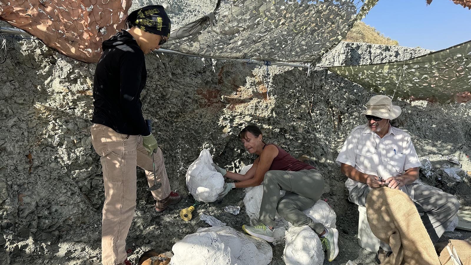 Visitors digging at the Nail Quarry near Medicine Bow prepare to flip a plaster jacket containing at least one vertebra from a large sauropod. The only way to know what's inside a jacket is to open it open, and that won't happen until it reaches the preparation lab at the Tate Geological Museum in Casper.