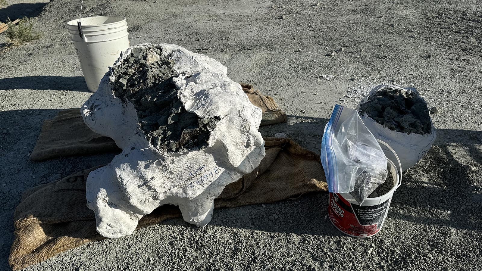 Two recently removed jackets sit in the evening sun at the Nail Quarry. Every paleontologist prefers small jackets to large ones, but the deposition and density of the fossils determine the size of each jacket.