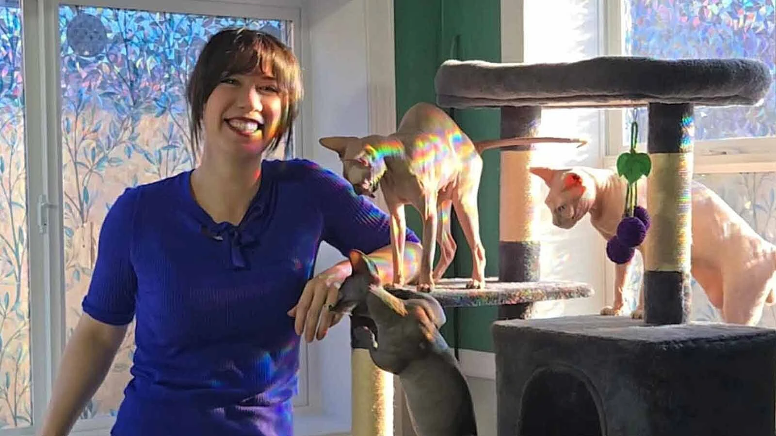 Jasmine Durkey of Casper poses with three of her Sphynx cats, a breed she raises that is prized for its hairless appearance and can sell for thousands of dollars.