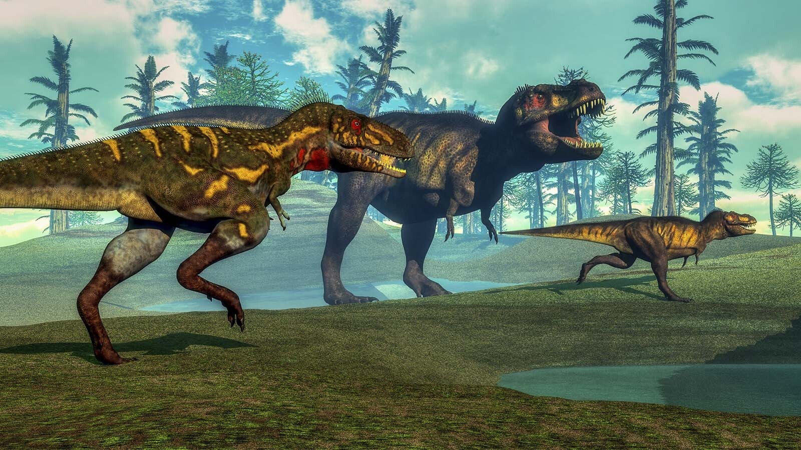This illustration shows a scene depicting a Nanotyrannus, left, hunting a small Tyrannosaurus next to its parent, T. rex. There’s a hot debate now in scientific circles about whether Nanotyrannus is a juvenile T. rex or its own distinct species of dinosaur.