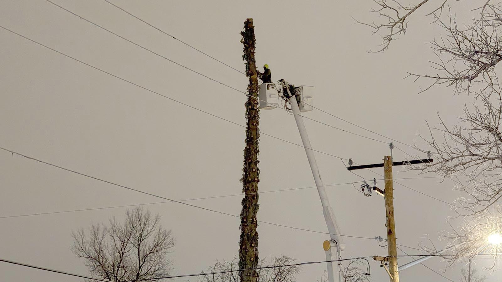 Cheyenne tree trimmer Nate Ditto climbed an 50-foot tree in 11-degree weather to cut it down ahead of a winter storm that dumped a record 7.1 inches of snow. He said it was just another great day’s work as a Wyoming tree trimmer.