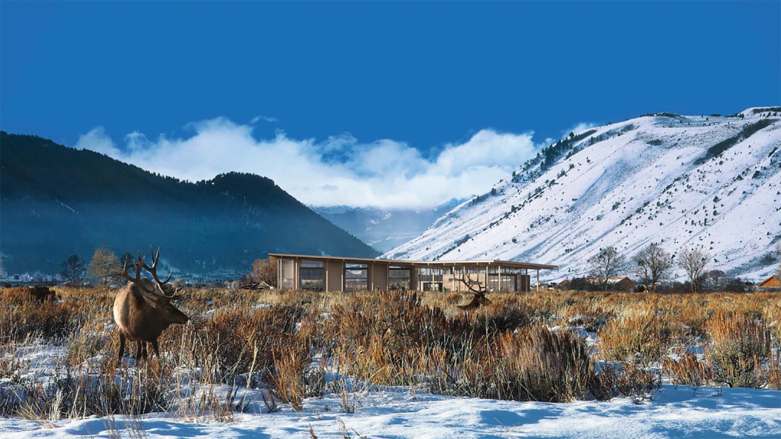 A conceptual image of a new $39 million Nature Discovery Center that will replace a 60-year-old visitor center at the National Elk Refuge near Jackson, Wyoming.