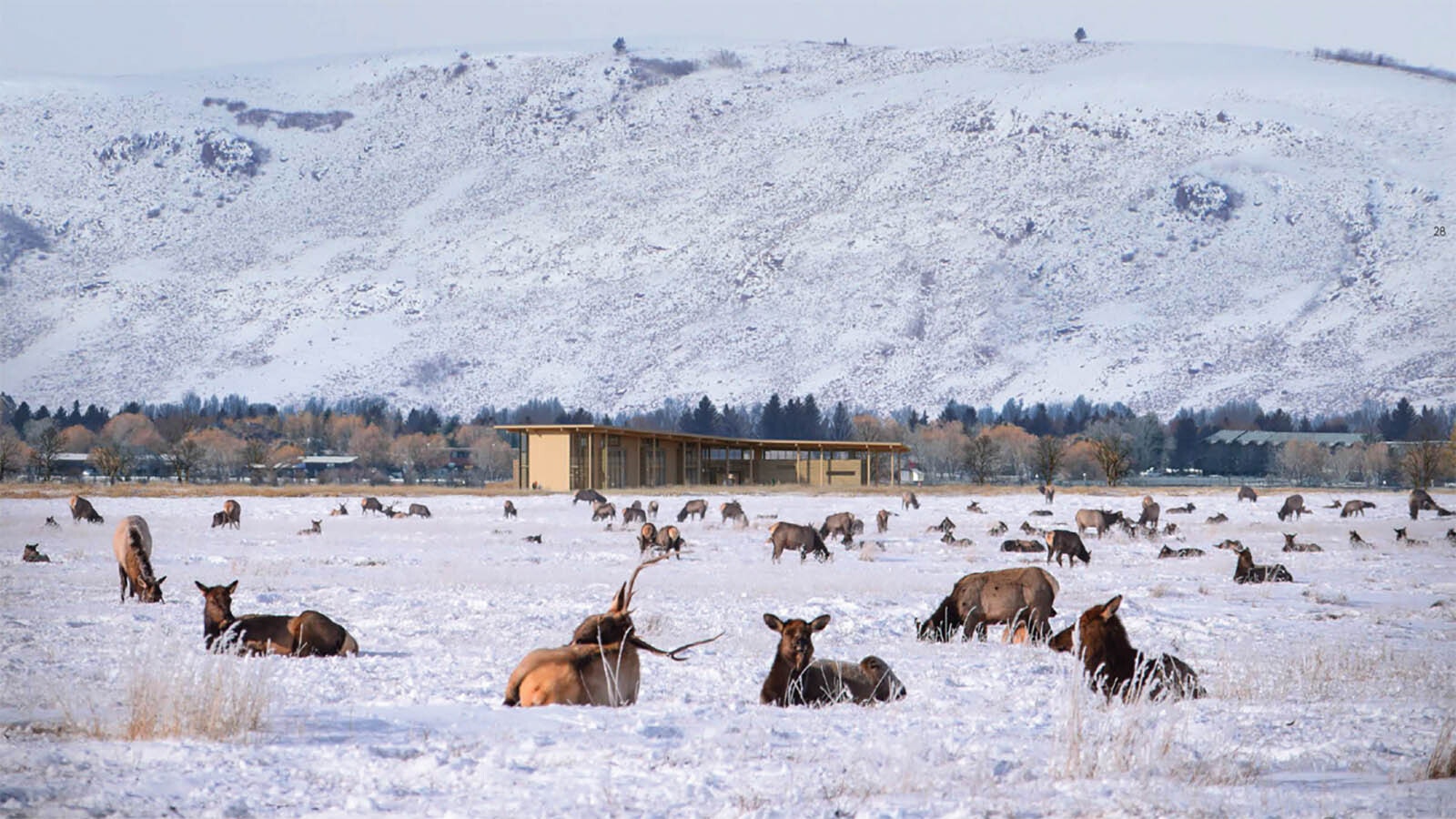 A conceptual image of a new $39 million Nature Discovery Center that will replace a 60-year-old visitor center at the National Elk Refuge near Jackson, Wyoming.