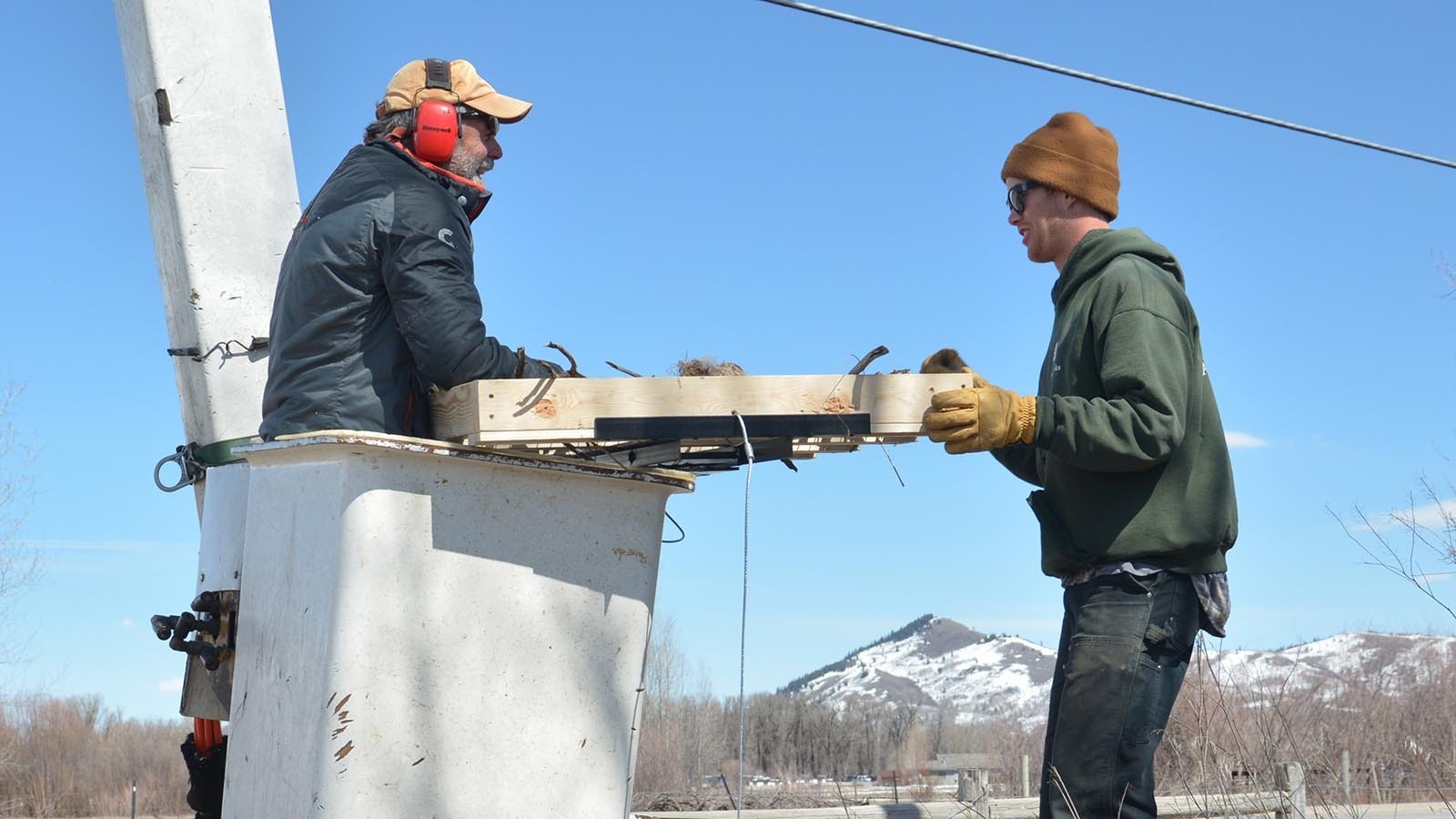 Raptor conservationists build platforms for osprey to nest in when they migrate back into Wyoming in the spring.
