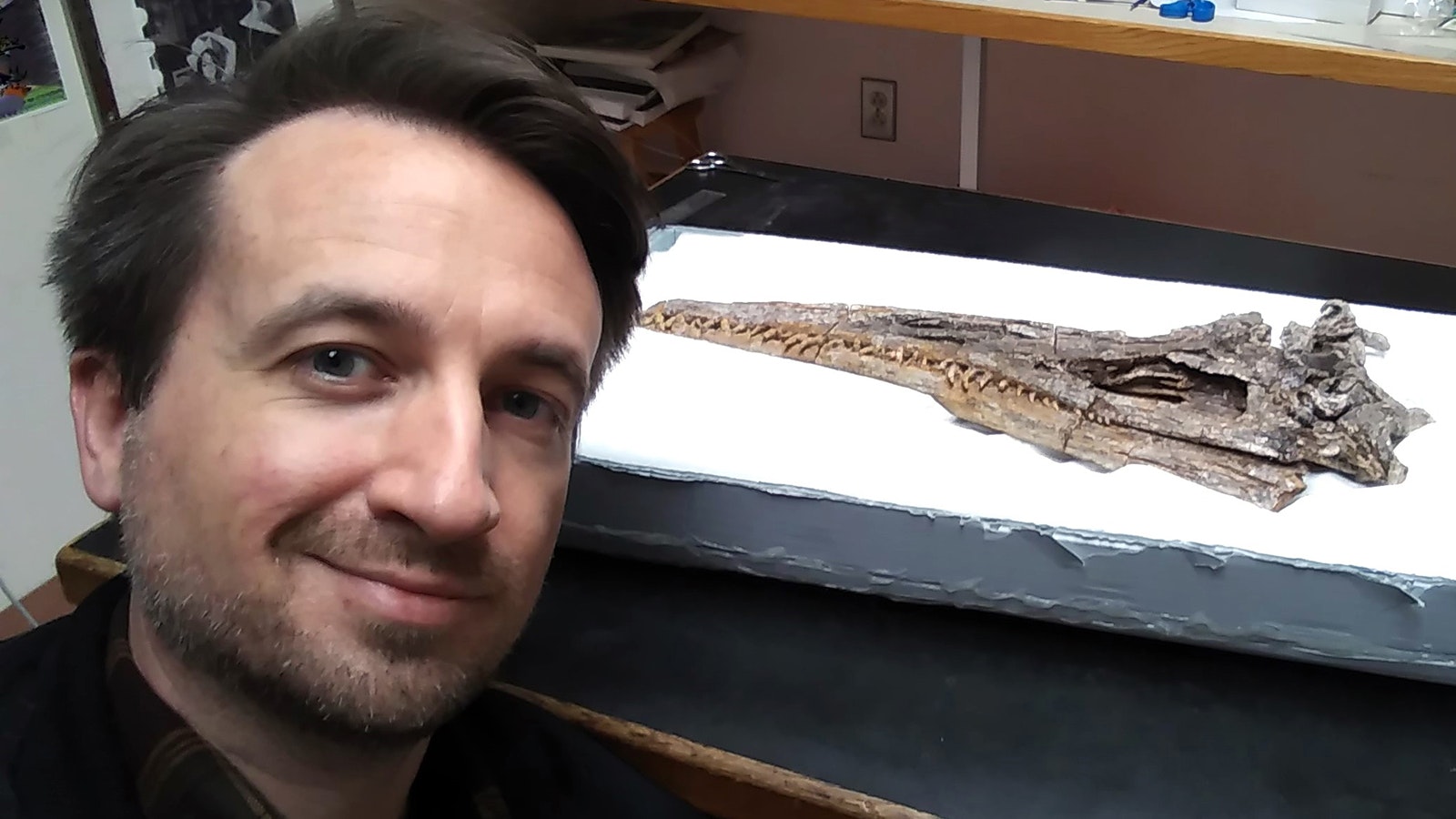 Robert Clark with the Department of Biological Resources at Marshall University in West Virginia poses with the skull of Unktaheela, the newest type of prehistoric marine reptile identified from the Late Cretaceous rocks of Wyoming. It's unique because of its small size and big eyes.