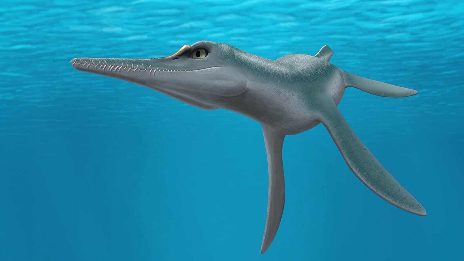 A computer reconstruction of what Wyoming's newest Loch Ness Monster would've looked like.