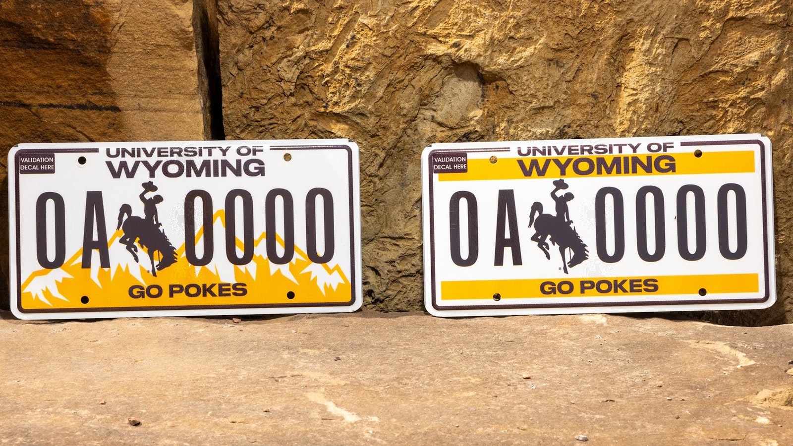 For those who aren’t fans of the new Wyoming license plate — a big field of dark blue with white lettering — there’s another new choice. This one has plenty of color, at least the only colors that matter to University of Wyoming fans: brown and gold. The design on the left won out over the option to the right.