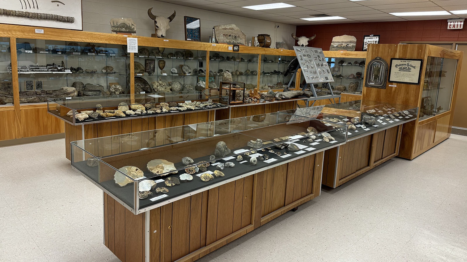 The interior of the Greybull Museum. A new facility would allow the Greybull Museum to upgrade its own collections and show more artifacts currently kept in storage.