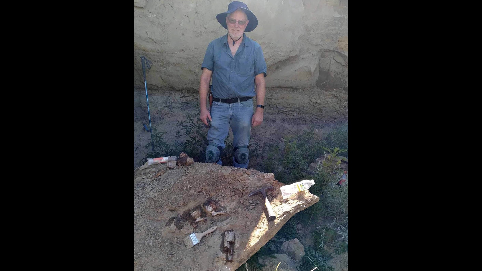 A man named Kevin was participating in a Paleo Prospector field session when he encountered this sandstone block containing several connected tail bones. There's hope that the rest of an articulated skeleton is in the rock wall where the block fell out.