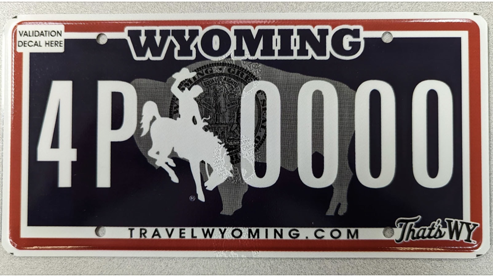 New license plate 10 28 22