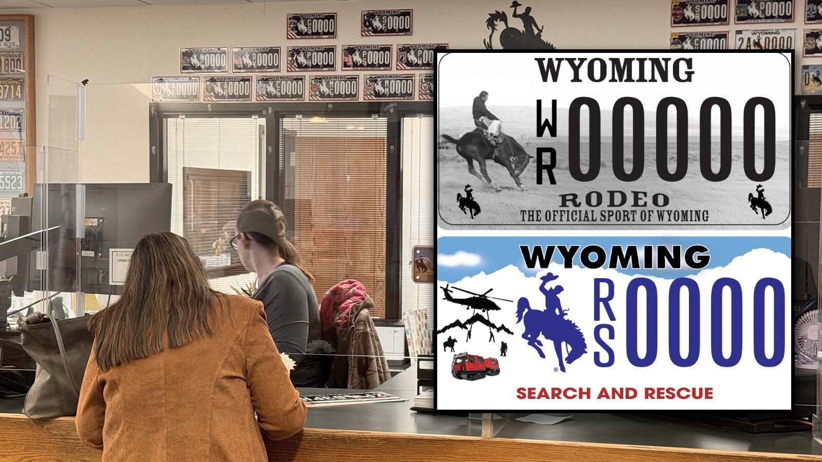 Wyoming issued a new pro-rodeo license plate Friday in response to PETA asking for a plate without the iconic bucking bronco claiming rodeo is cruel. One state legislator said PETA’s request made him want to celebrate rodeo “even more prominently.”