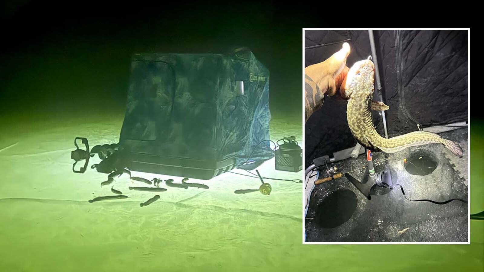 Ice fishing at night can provide an advantage for certain fish species, such as burbot. But it isn’t for the faint of heart because it’s much harder to spot thin ice at night. Burbot are one of the best species to catch by ice fishing at night. Ice anglers say they’re one Wyoming’s tastiest fish species.