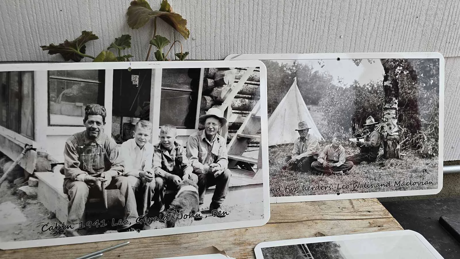 More photos of life at the Niland Cabin in the Medcine Bow-Routt National Forest.