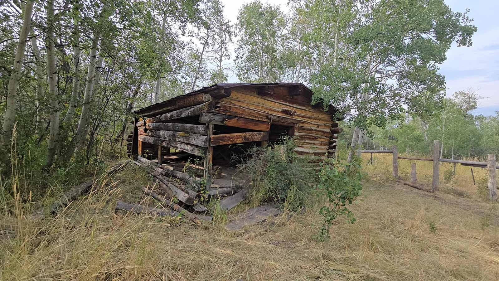 This cabin held saddle and tools for the Niland family's sheep operation at the Niland cabin in the Medcine Bow-Routt National Forest.