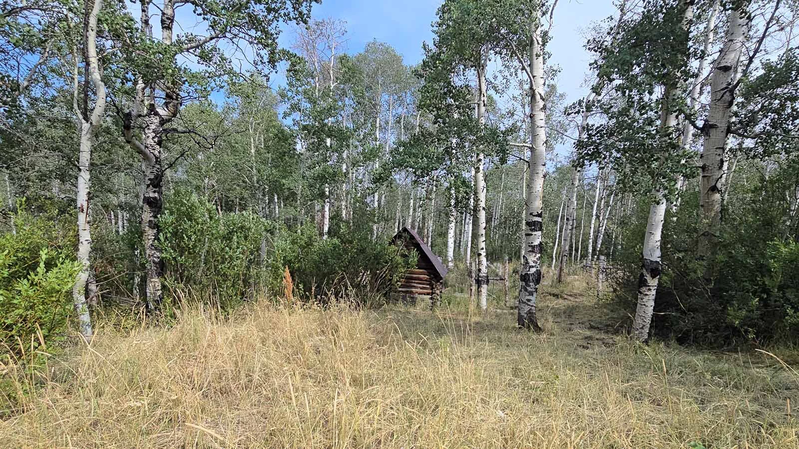 A tiny pump house sits in one corner of the Niland cabin property in the Medcine Bow-Routt National Forest.