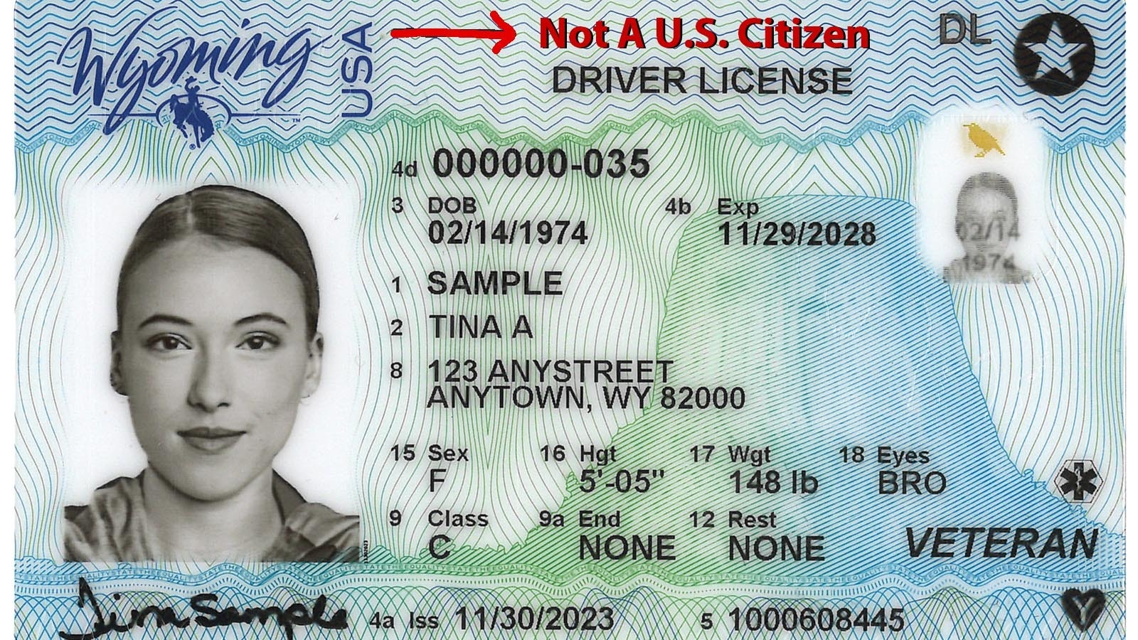 Noncitizen drivers license sample 1 16 25