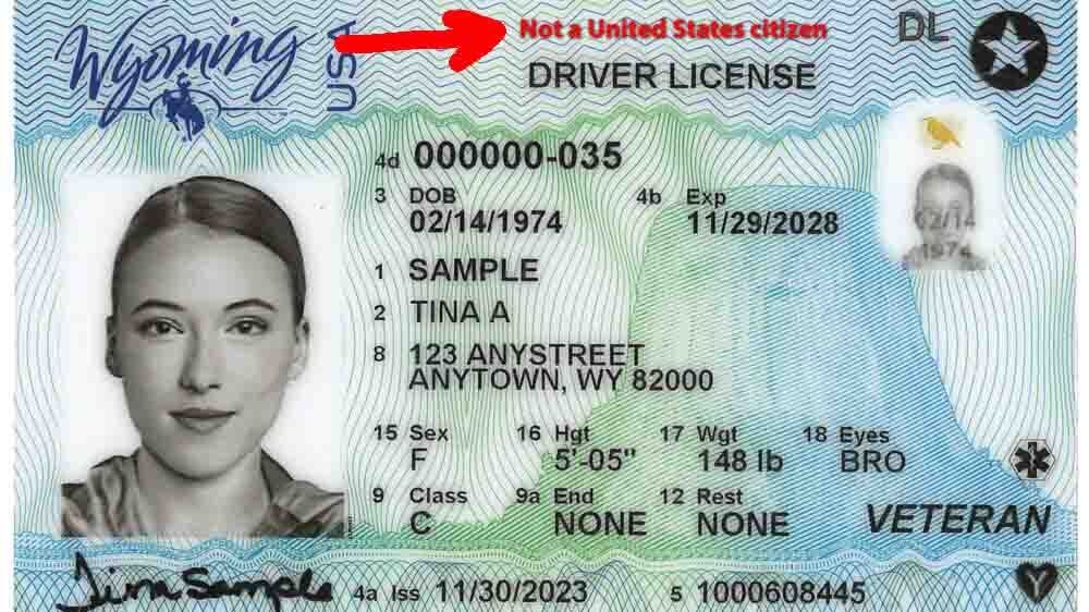 Noncitizen drivers license sample 11 19 24 v2