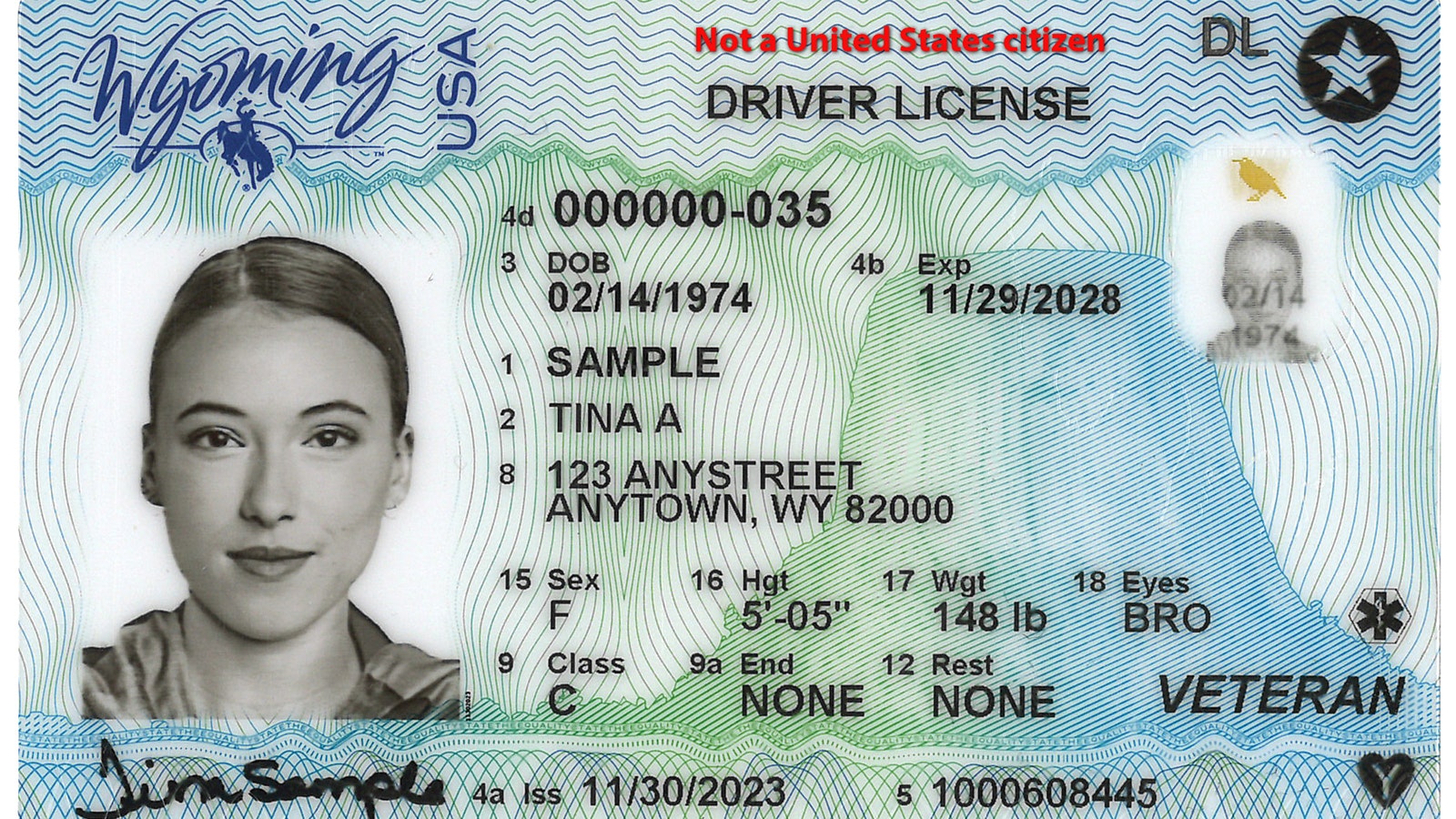 A Cowboy State Daily illustration of a Wyoming driver's license with "Not a United States citizen" on it.