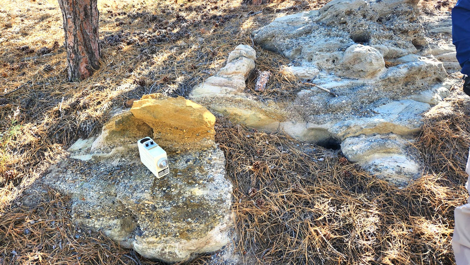 Uranium mineralization in a rock outcrop near Kaycee.