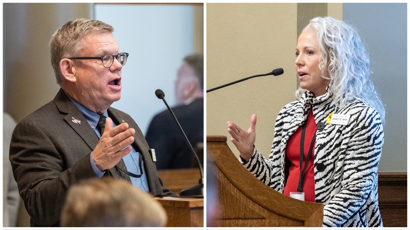 State Reps. Kevin O'Hearn and Jeannette Ward, both R-Casper, are on the Legislature's Joint Labor, Health and Social Services Committee.