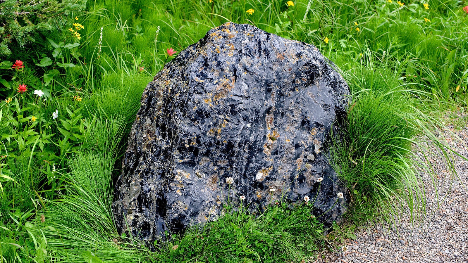 Archaeologists use obsidian to determine how far people traveled on ancient trade routes in early Wyoming. Each obsidian flake bears a unique volcanic fingerprint that points to their place of origin.