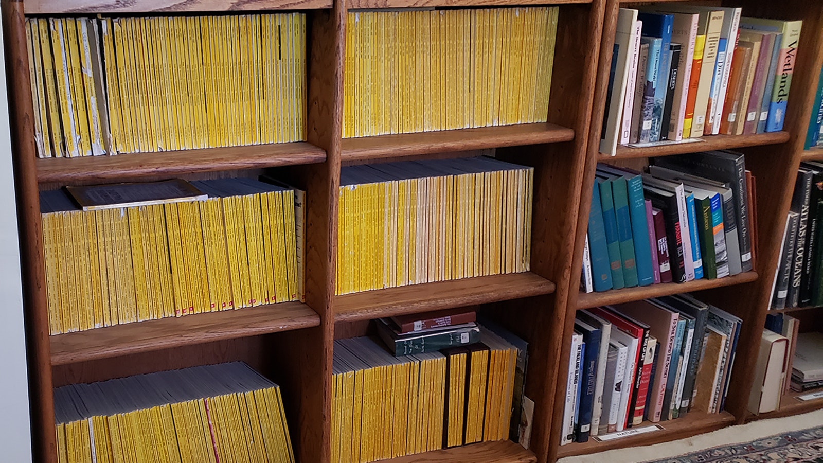 The library has a very large collection of vintage National Geographic magazines.