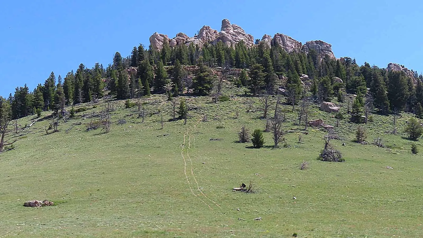 For about 20 years, tire scars have marred the side of Fossil Hill near Sinks Canyon in Fremont County. Retired Forest Service ranger Karl Brauneis said.