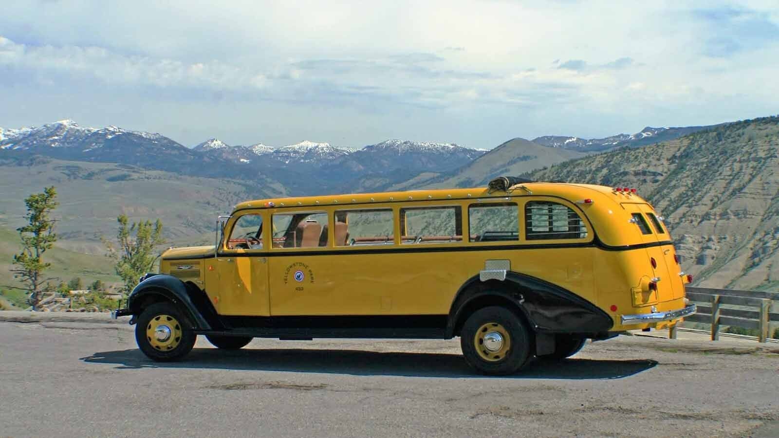The Yellowstone yellow jammer bus in its native YNP habitat.