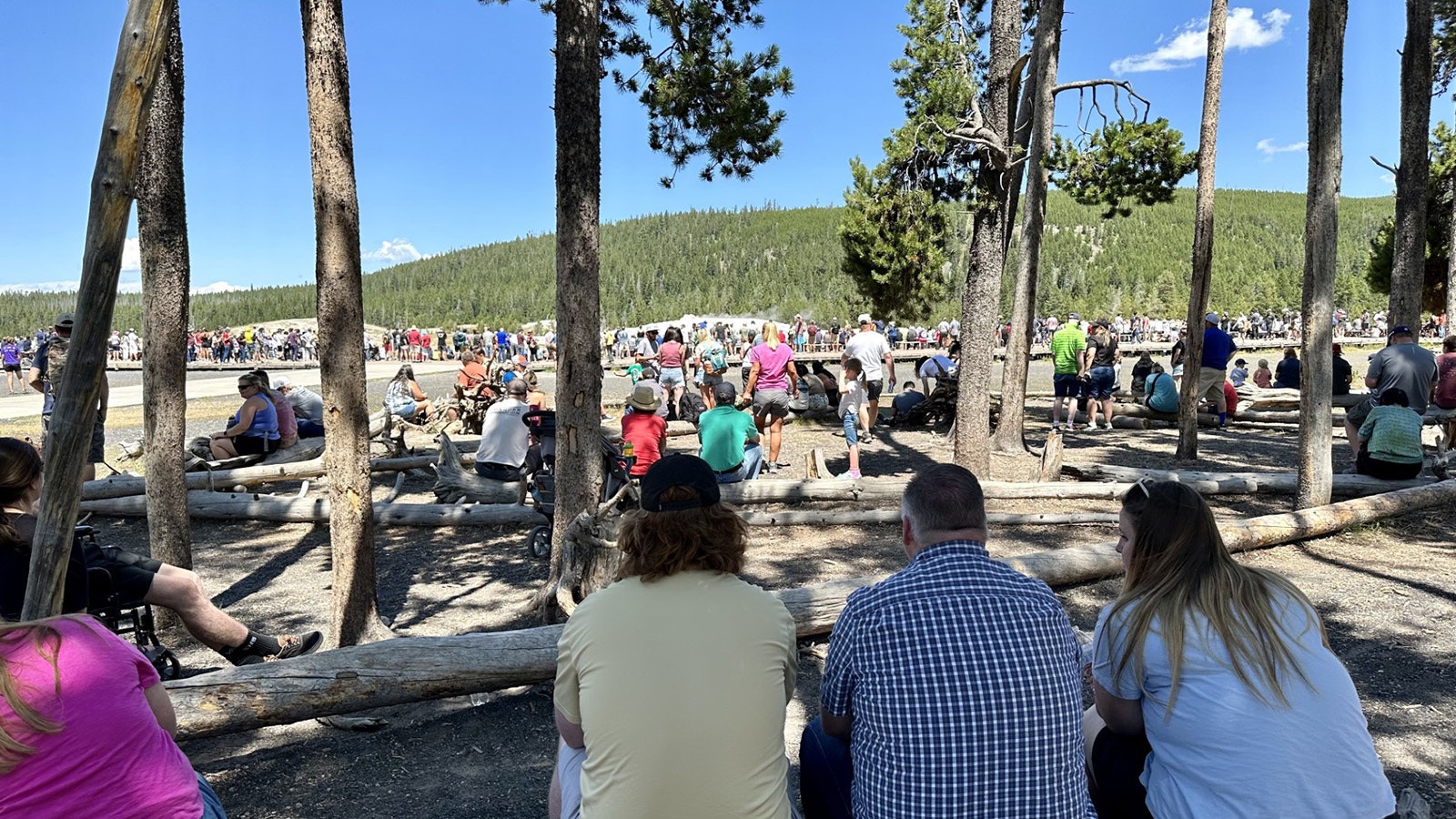 Yellowstone had one of its busiest summers for tourism in 2023.