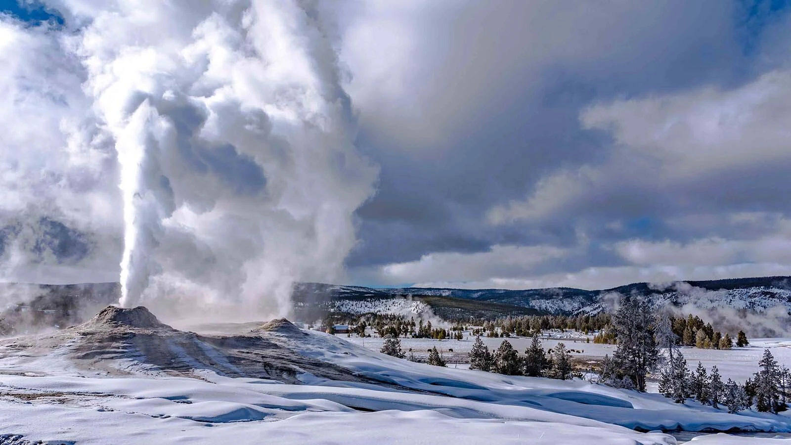 Old Faithful Adobe Stock 441602672