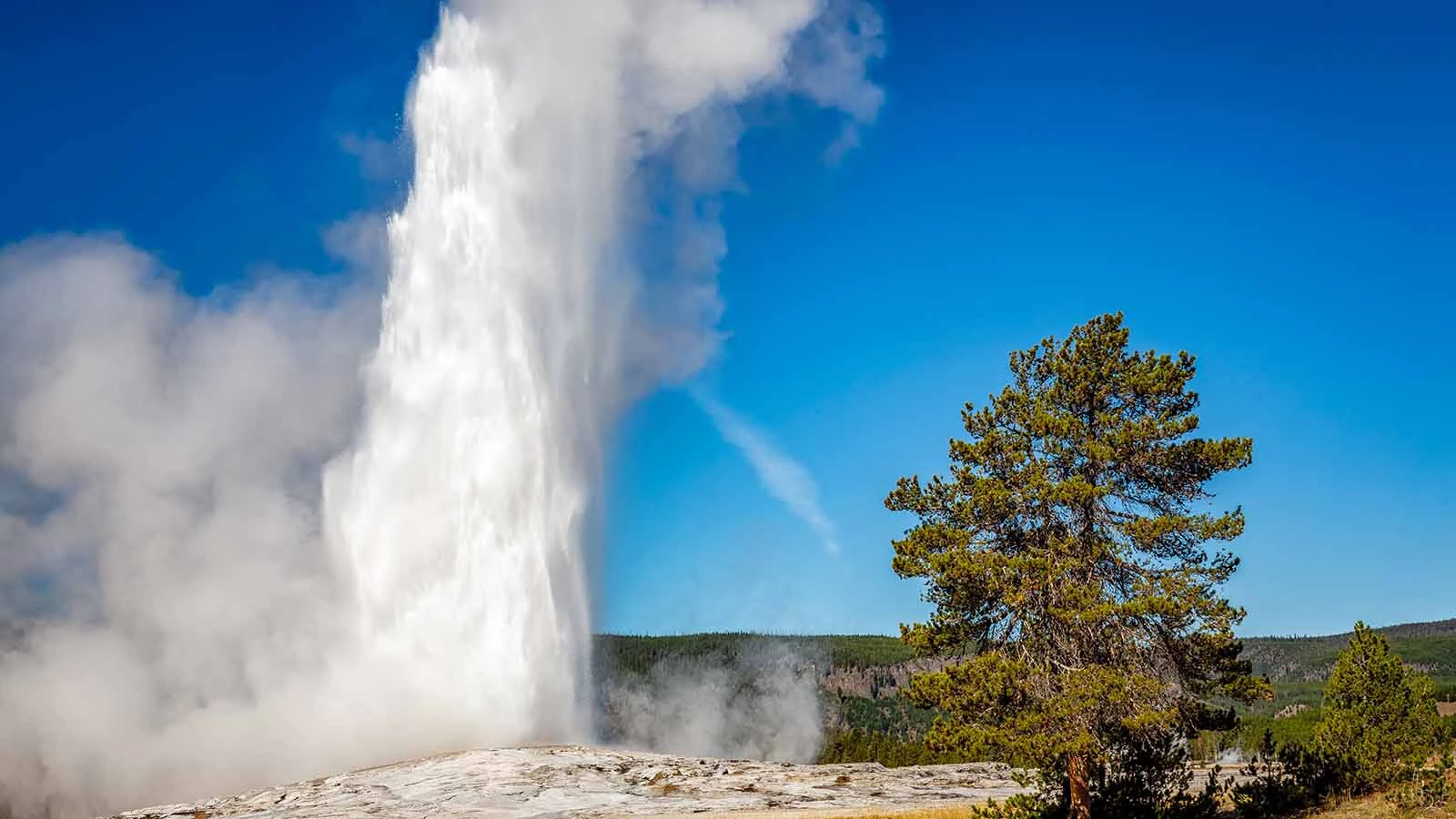 Scientists for the first time have determined how much water Old Faithful spews when it erupts. New research shows an average of 7,300 gallons of liquid water, along with steam, are forced out of Yellowstone National Park's most famous geyser.
